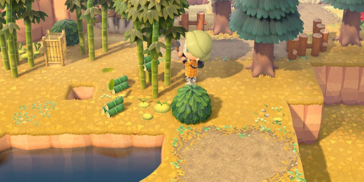 Animal Crossing New Horizons Player Chopping Bamboo Tree