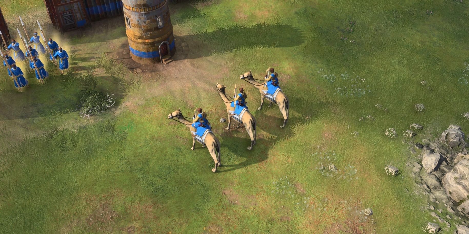 Camel Riders in Age of Empires 4