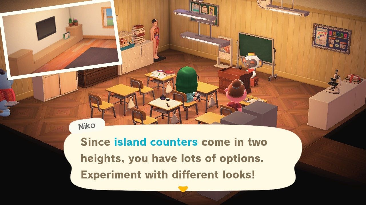 Animal Crossing happy Home Paradise Niko teaching about island counters