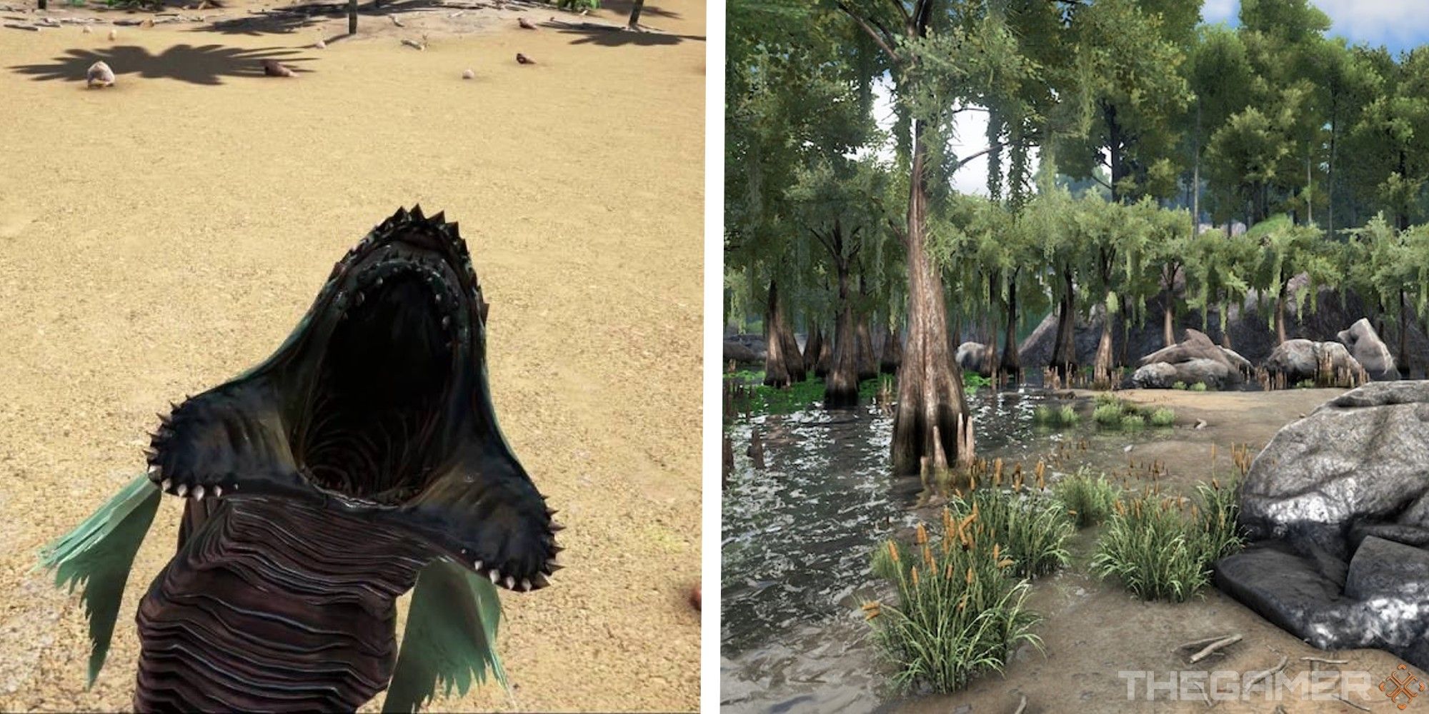 How TO Get Rid Of Leeches In ARK: Survival Evolved