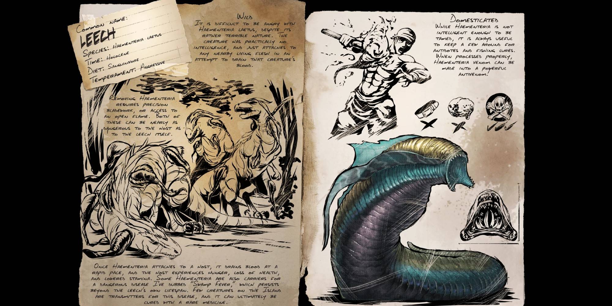 How To Get Rid Of Leeches In Ark Survival Evolved