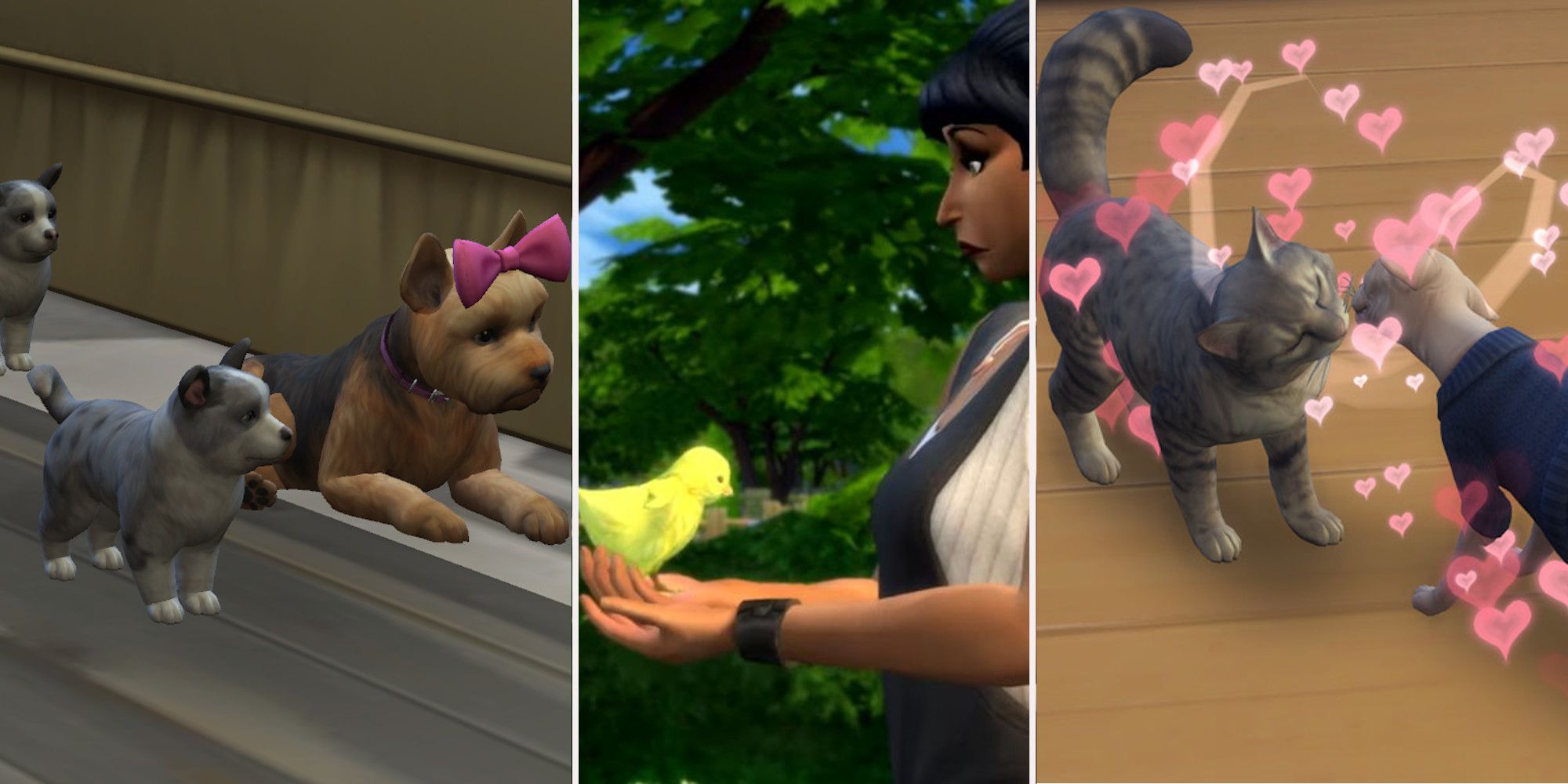 Sims 4: Cats And Dogs Cheats Guide: Vet Career, Pet Training Skill