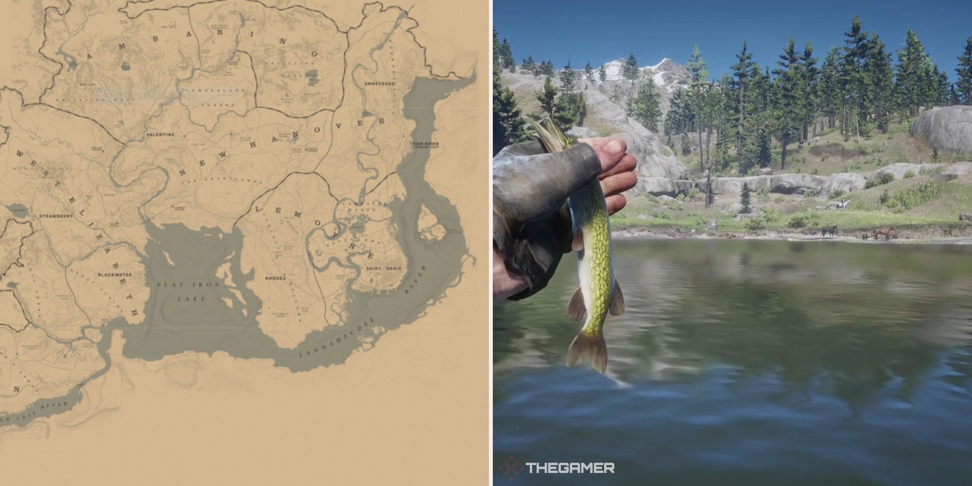 rdo-best-chain-pickerel-fishing-locations