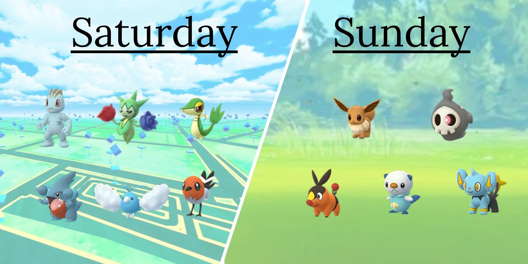 Dec Community Day Spawns