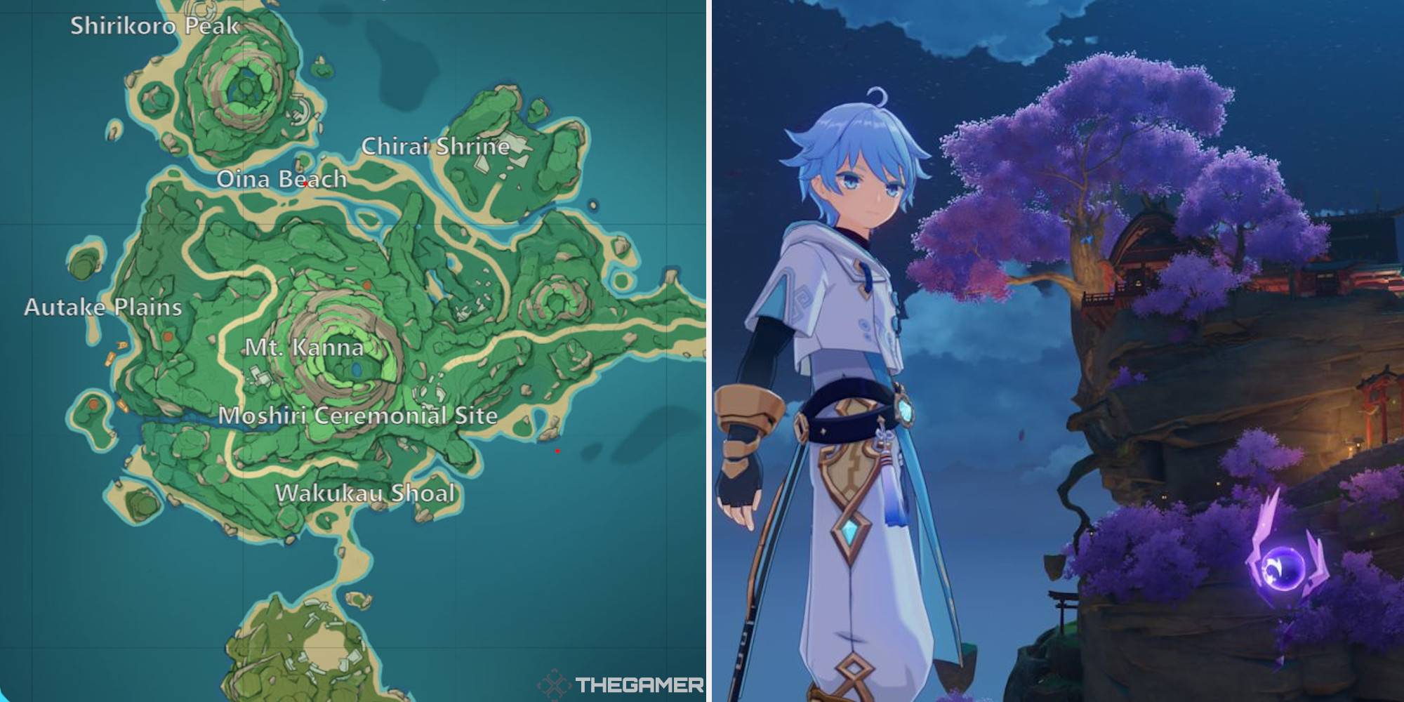 Genshin Impact: Electroculus Locations On Tsurumi Island, Inazuma