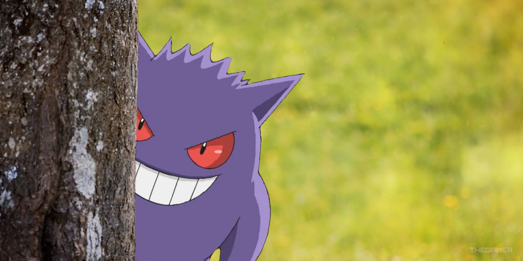 I Am The Only Person In The World Who Has Mindys Gengar
