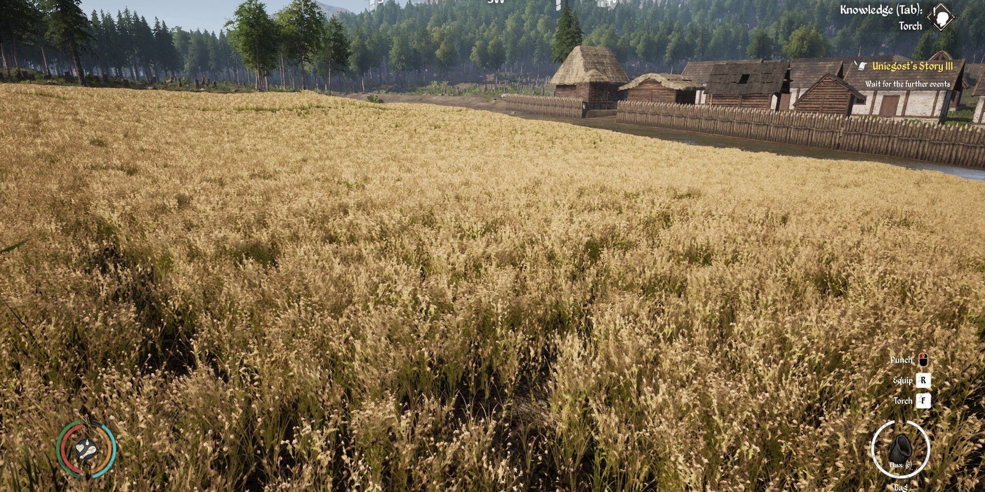 farmland plot with flax growing