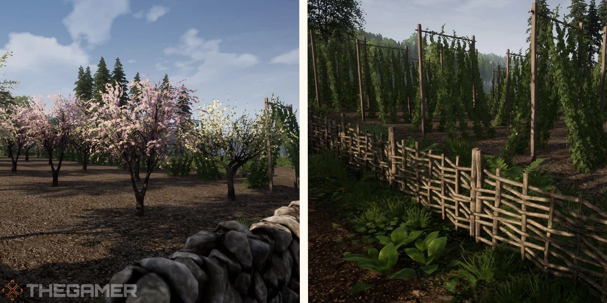 Medieval Dynasty: How To Make And Use An Orchard