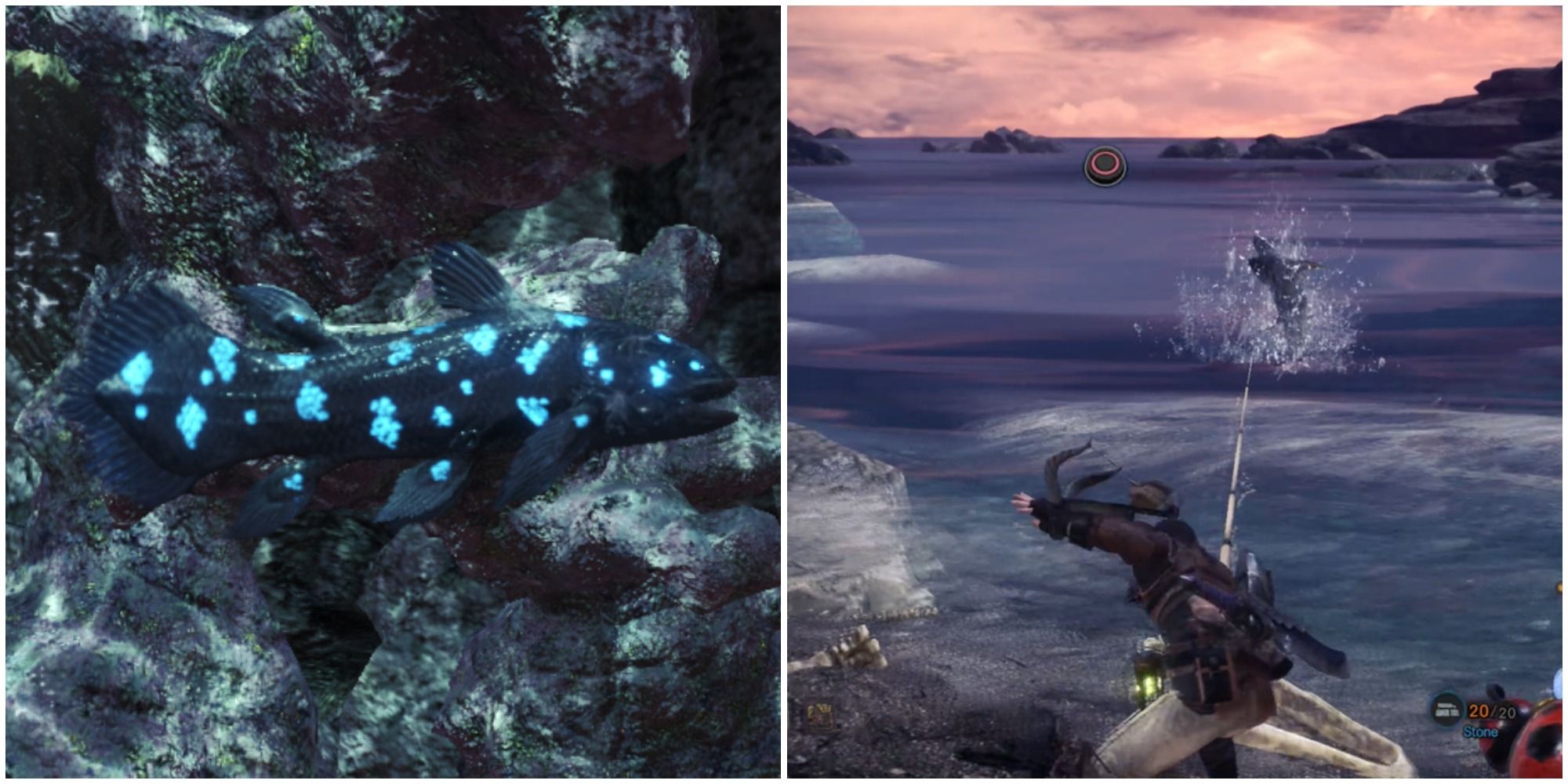mhw research help mysterious fish capture