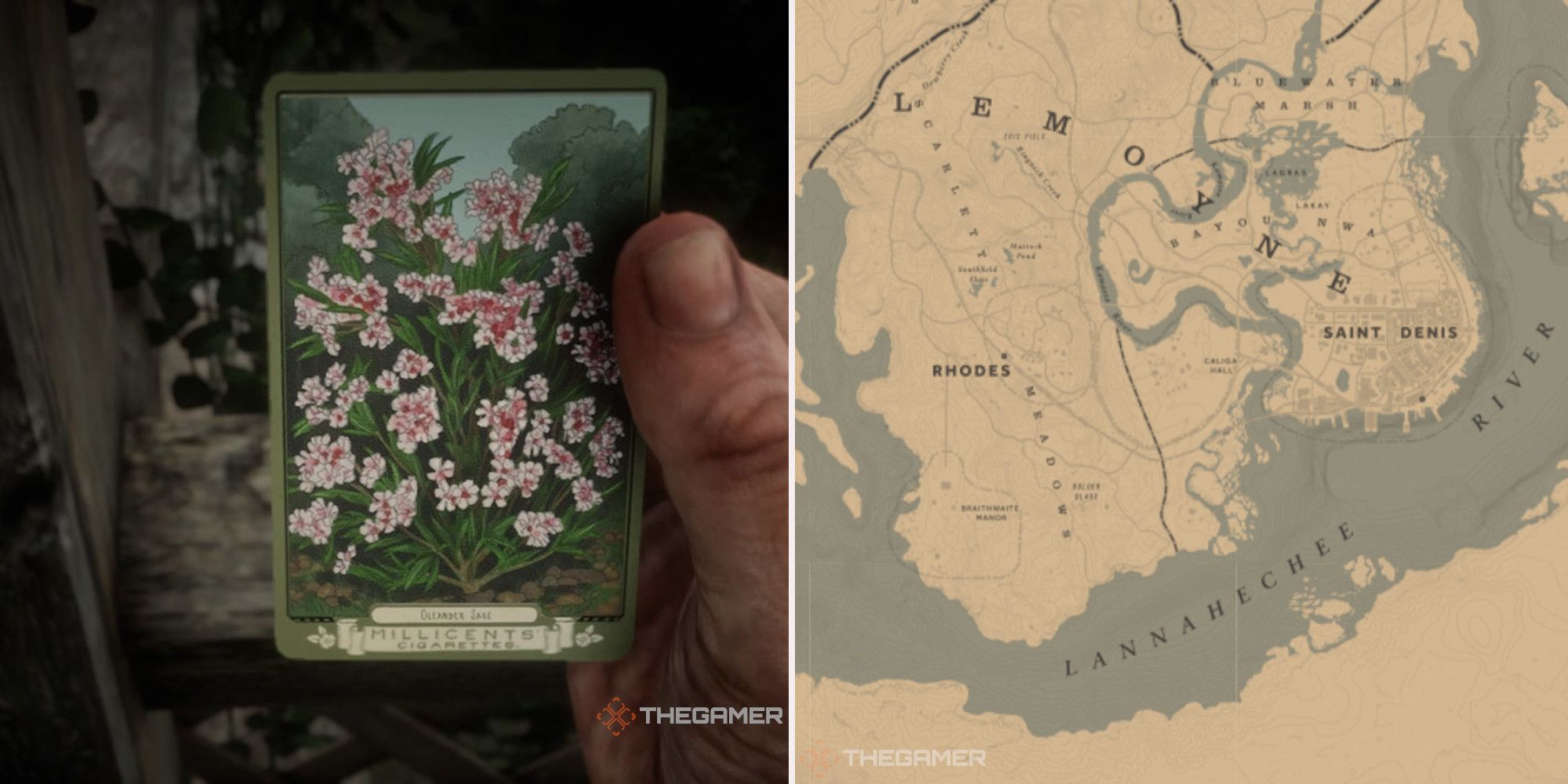 klog metrisk Droop Red Dead Online: Oleander Sage Locations