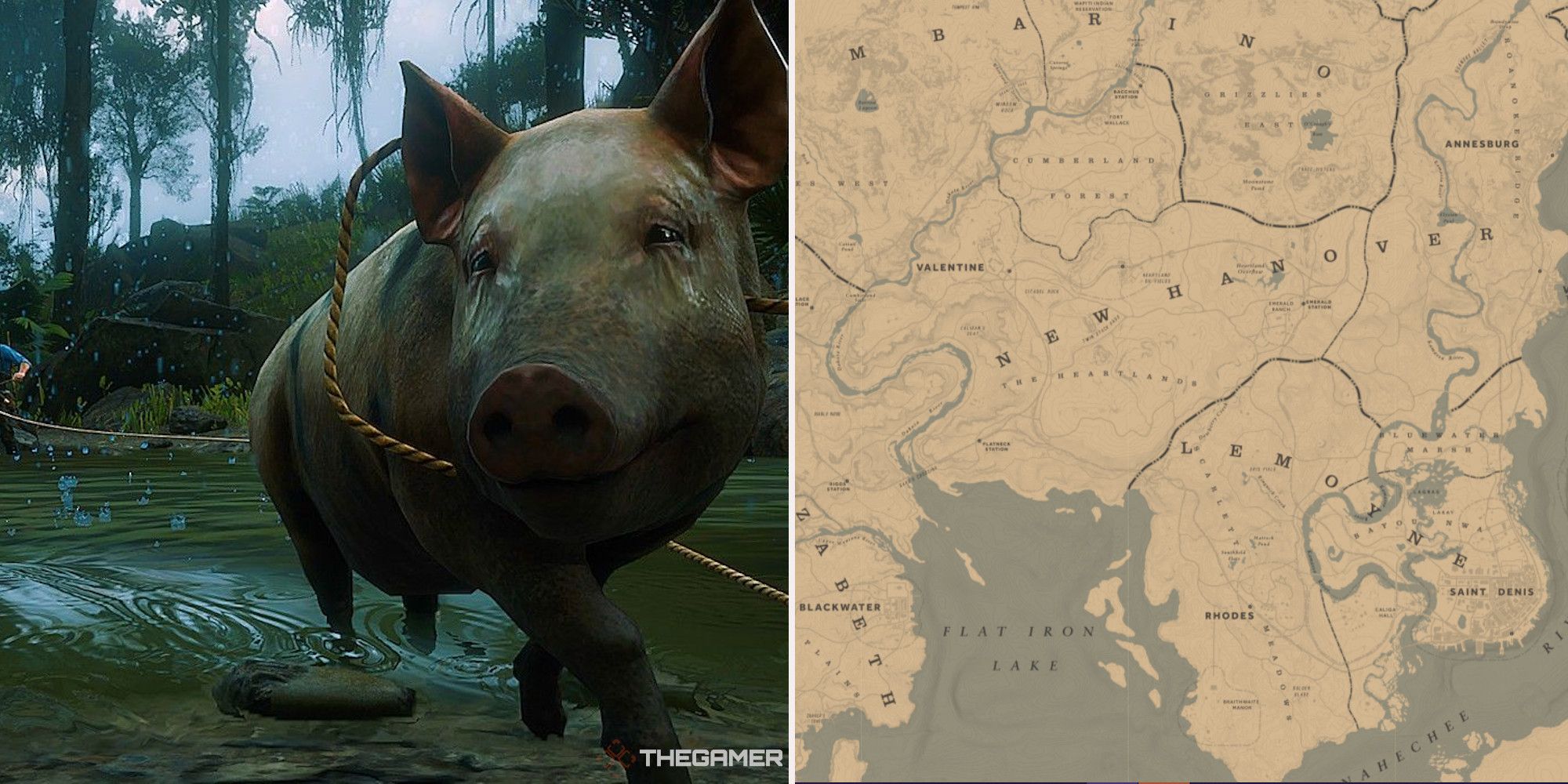 Red Dead Redemption 2 animal map locations: Where to find