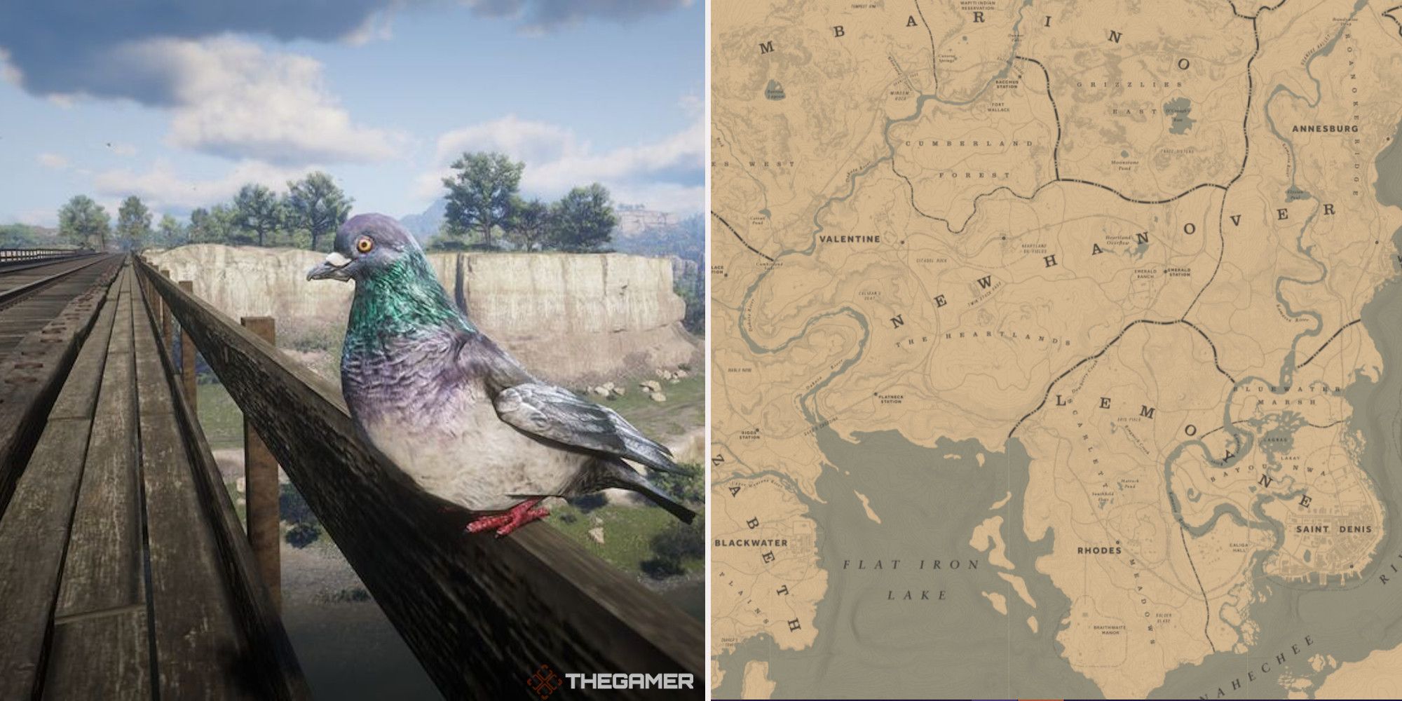 Pigeon locations Red Dead Redemption 2 Online fandom