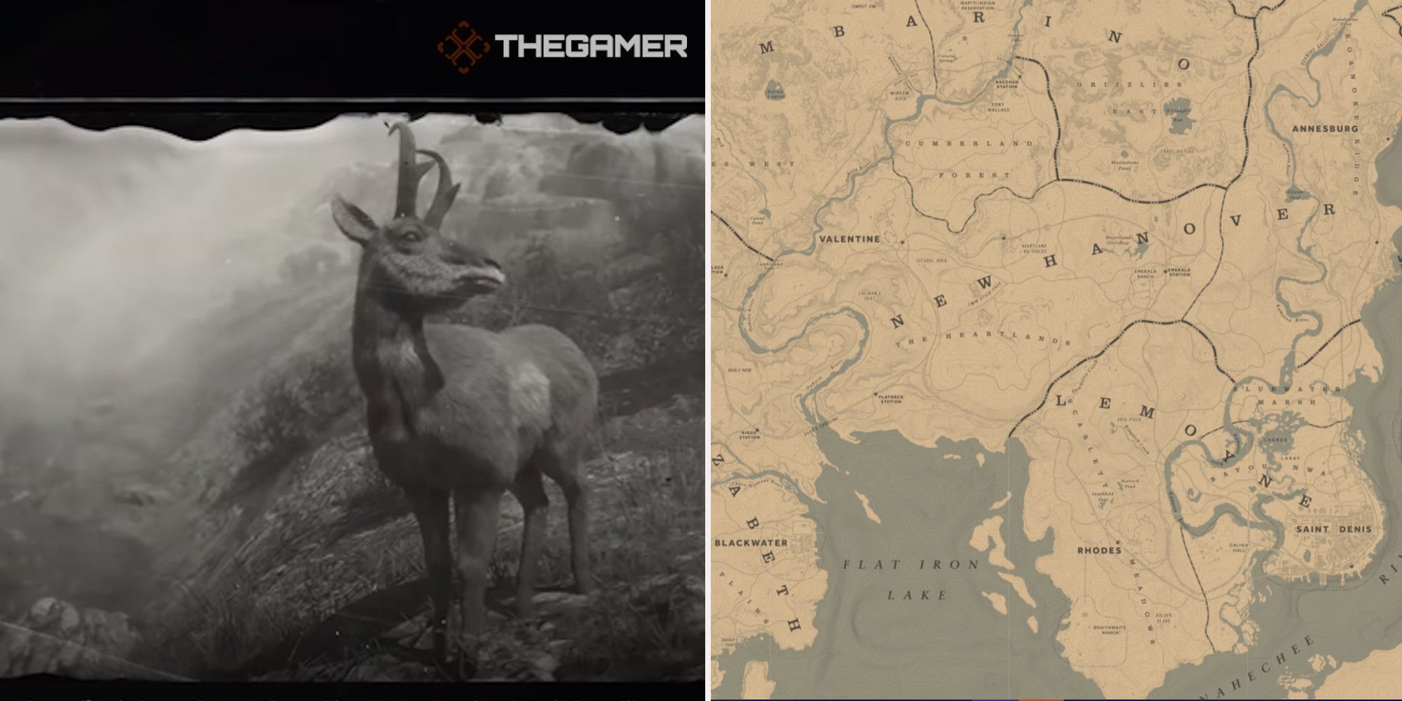Pronghorn locations Red Dead Redemption 2 Online fandom