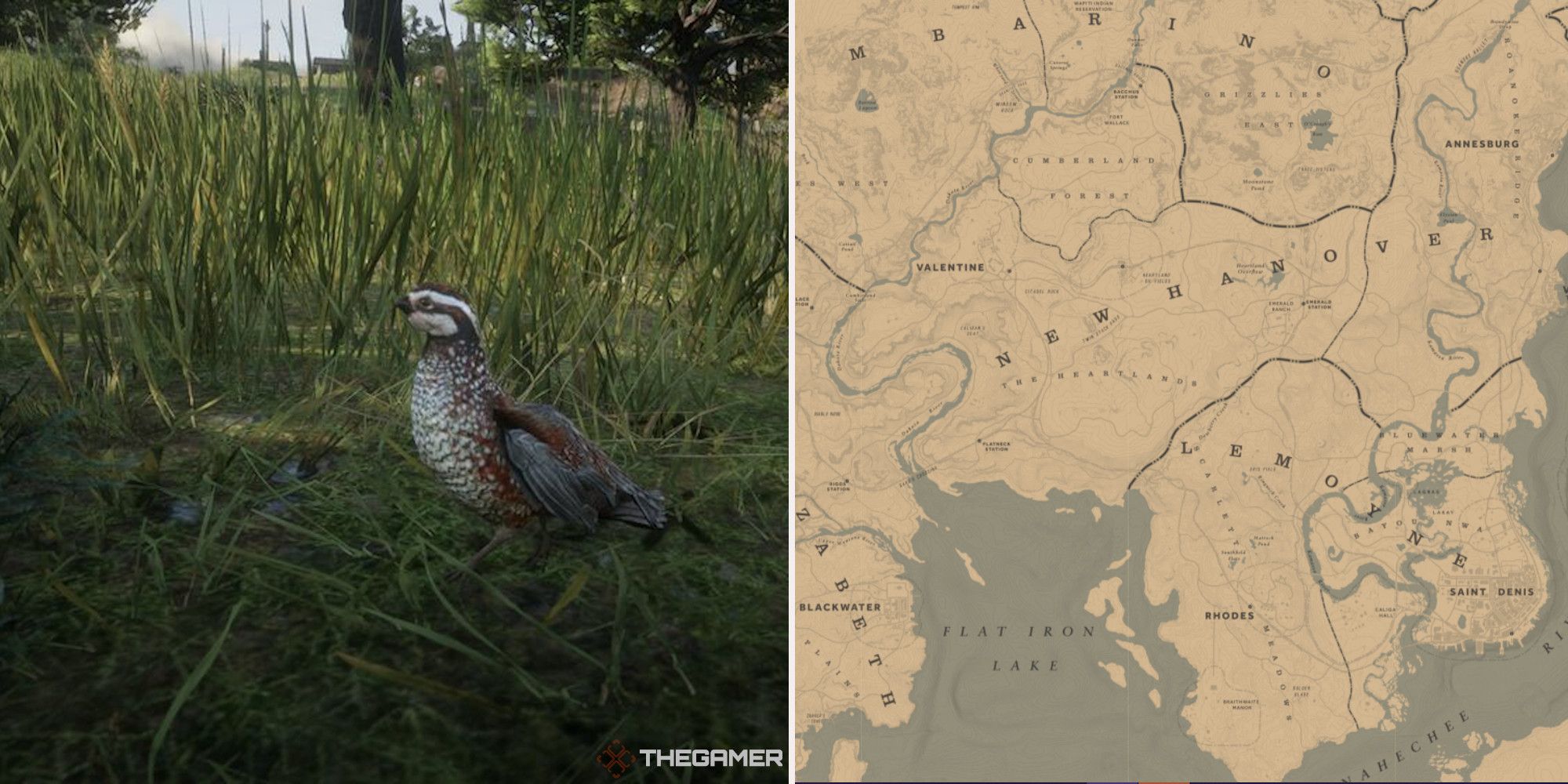 Red Dead Online Quail Hunting Locations