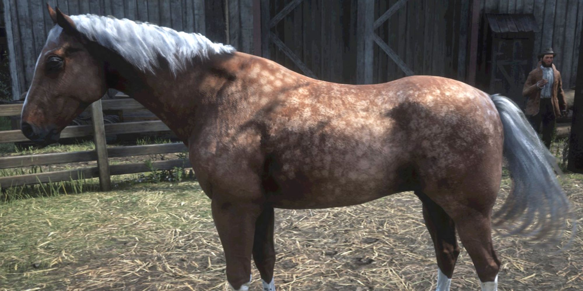 Red Dead Redemption 2 Screenshot Of The American Standardbred Horse