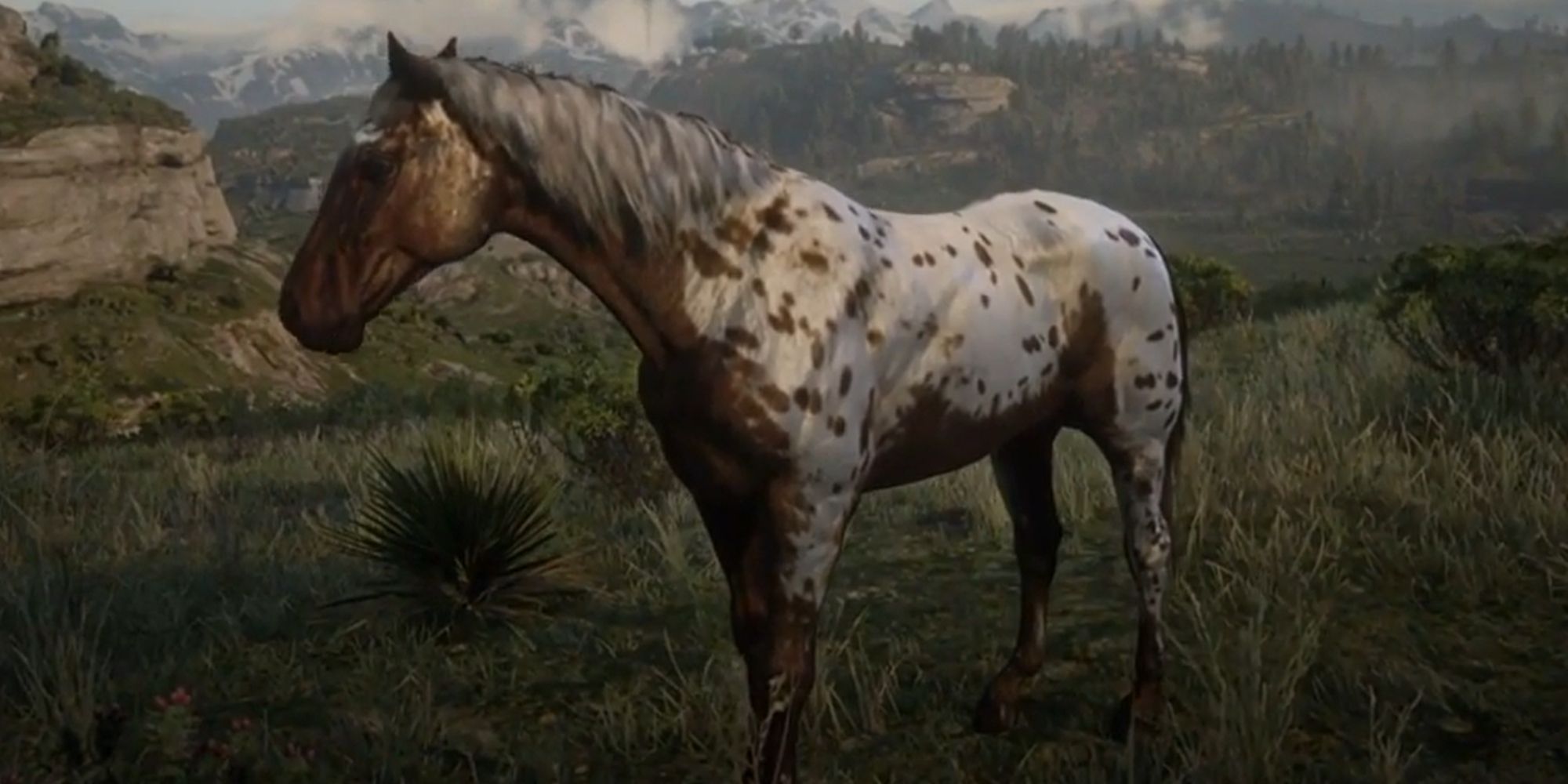 Red Dead Redemption 2 Screenshot Of Appaloosa Horse