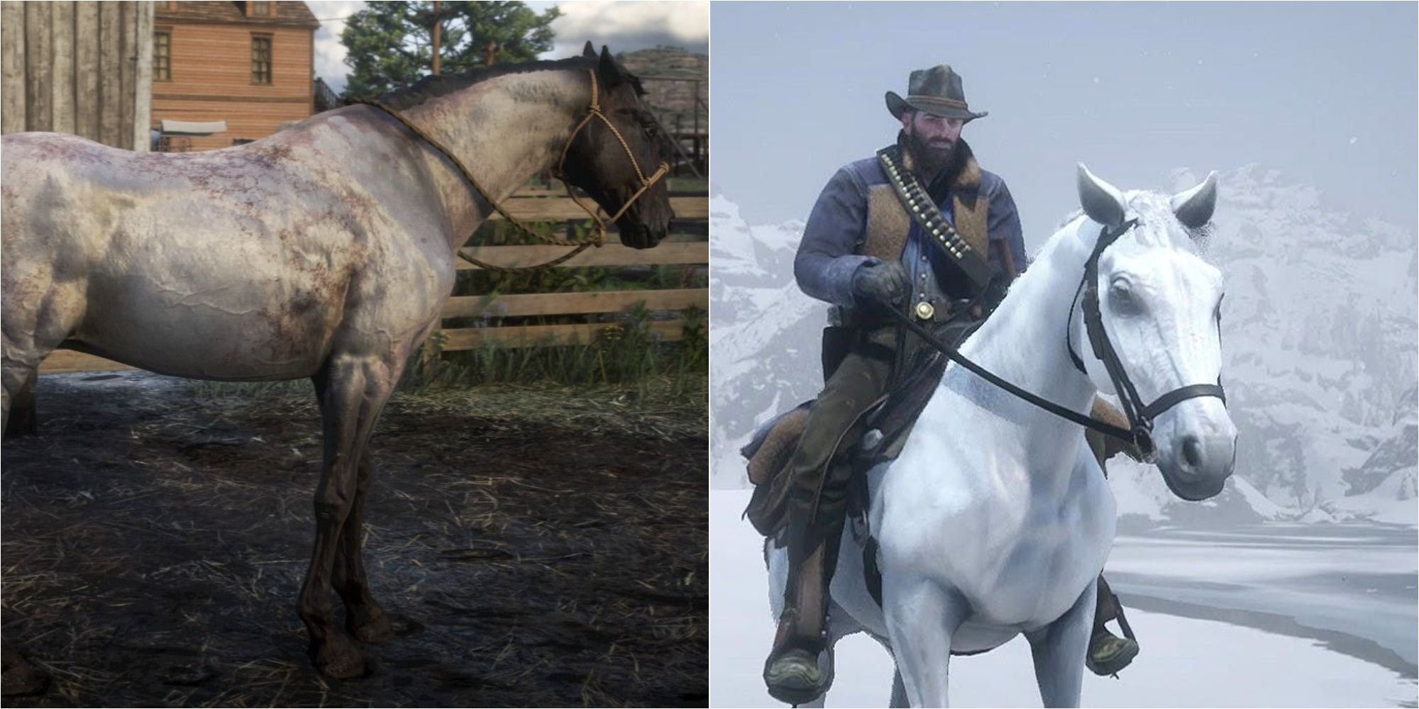 red dead redemption hungarian half bred