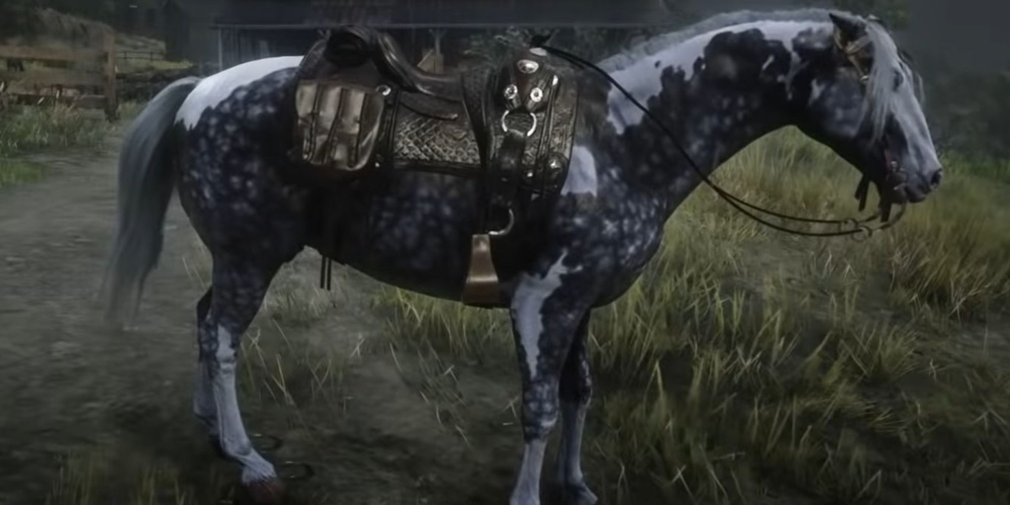 Red Dead Redemption 2 Screenshot Of The Missouri Fox Trotter