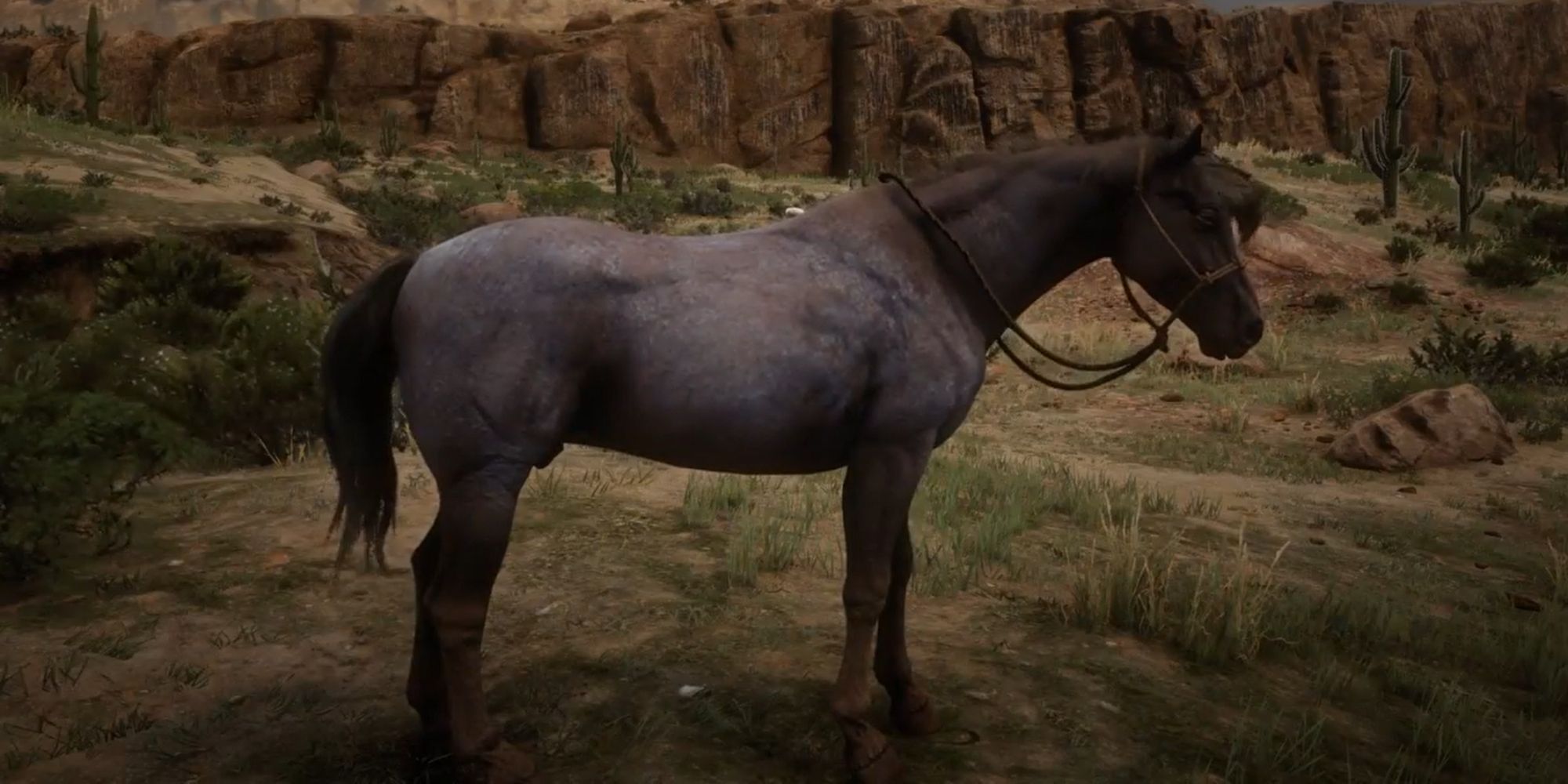 Red Dead Redemption 2 Screenshot Of Nokota Horse
