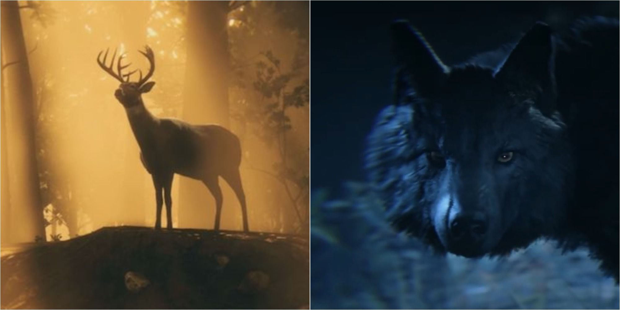 Red Dead Redemption 2 Screenshot Of Stag and Wolf Spirit Animals