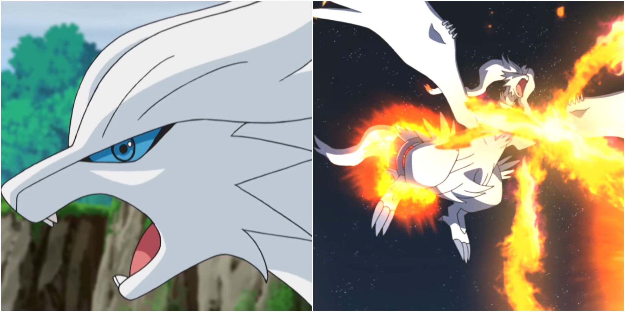 Reshiram Face & Fusion Flare