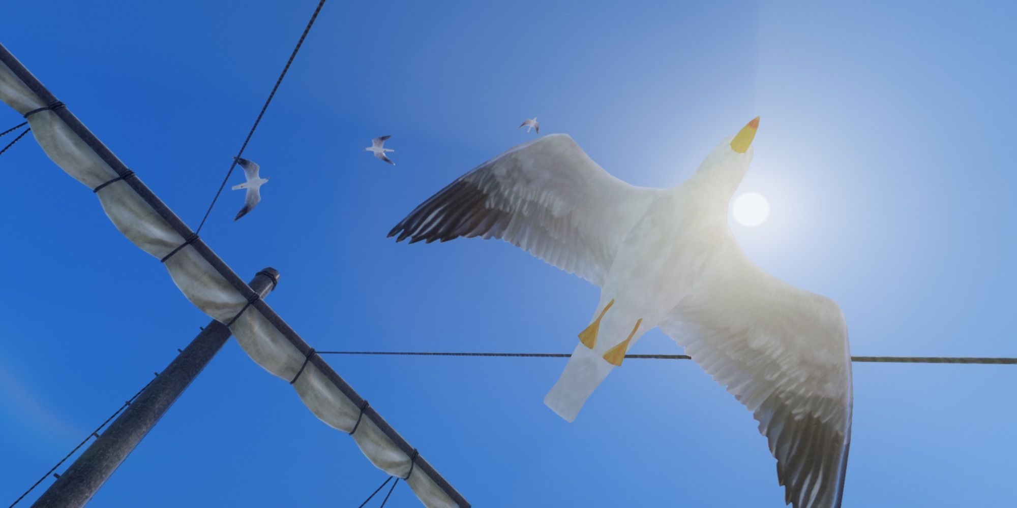 Seagulls of Skyrim Mod
