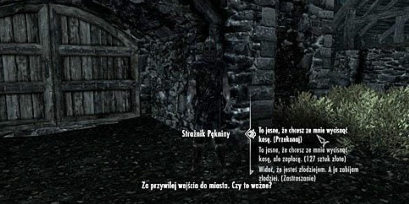 Speech Dialogue Options for Guard outside Riften, in a foreign language