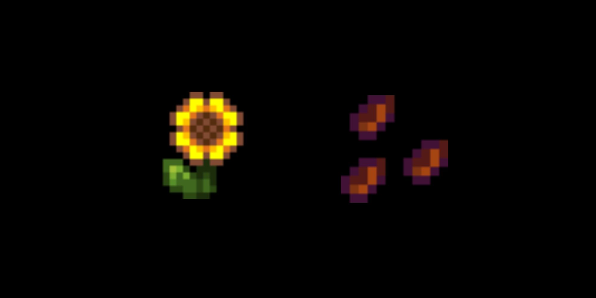 Stardew Valley Sunflowers
