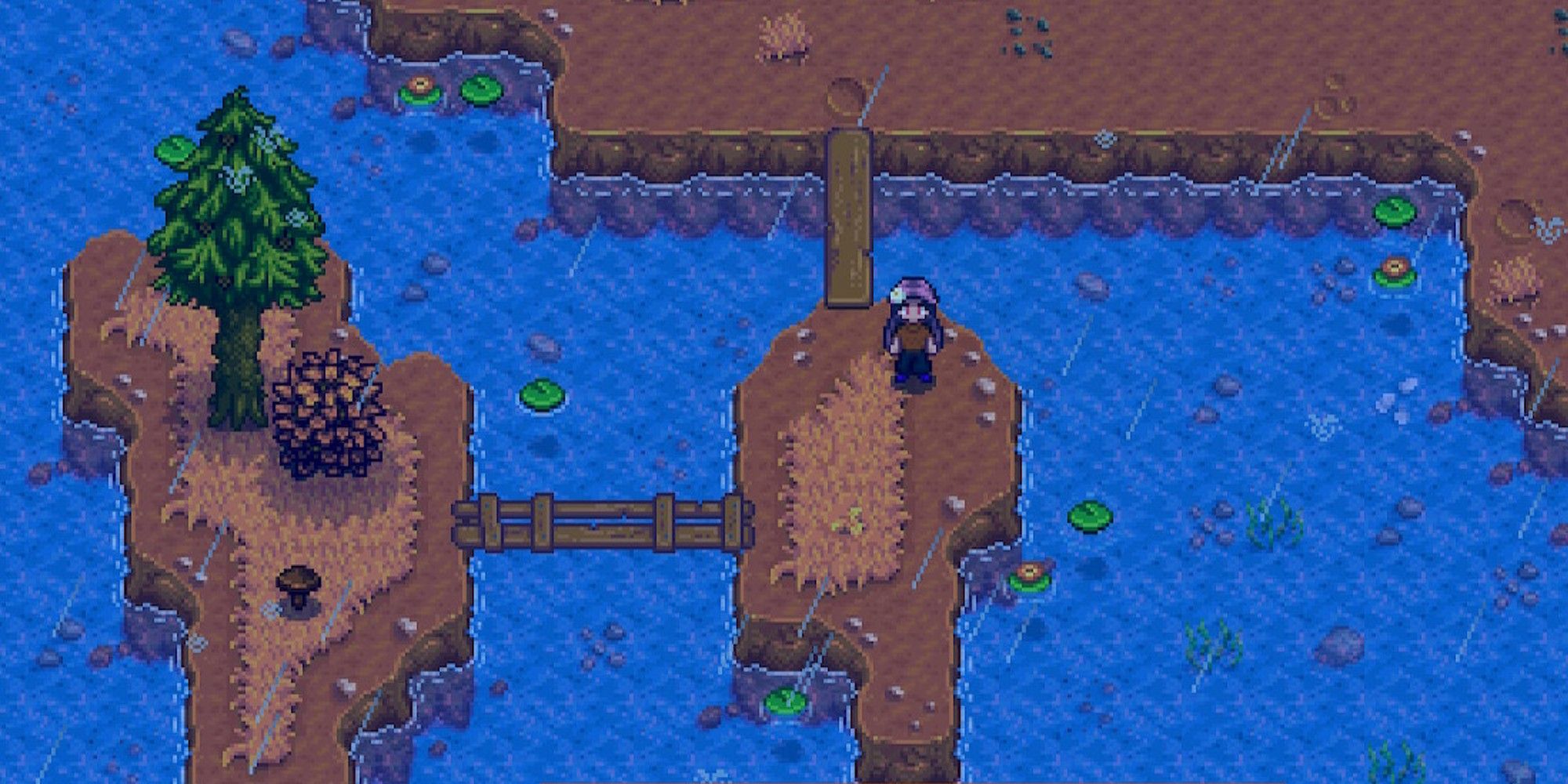 player standing on bridge shortcut to adventurers guild