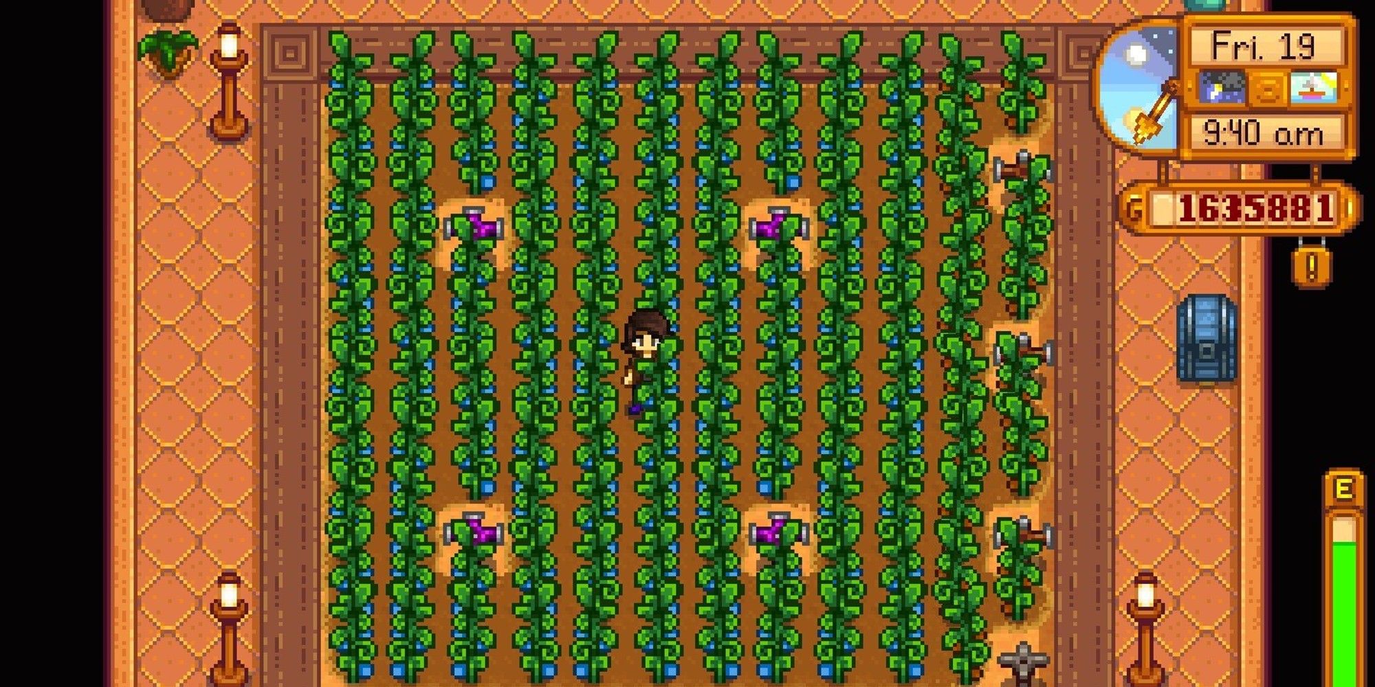 player standing in greenhouse filled with grown ancient fruit