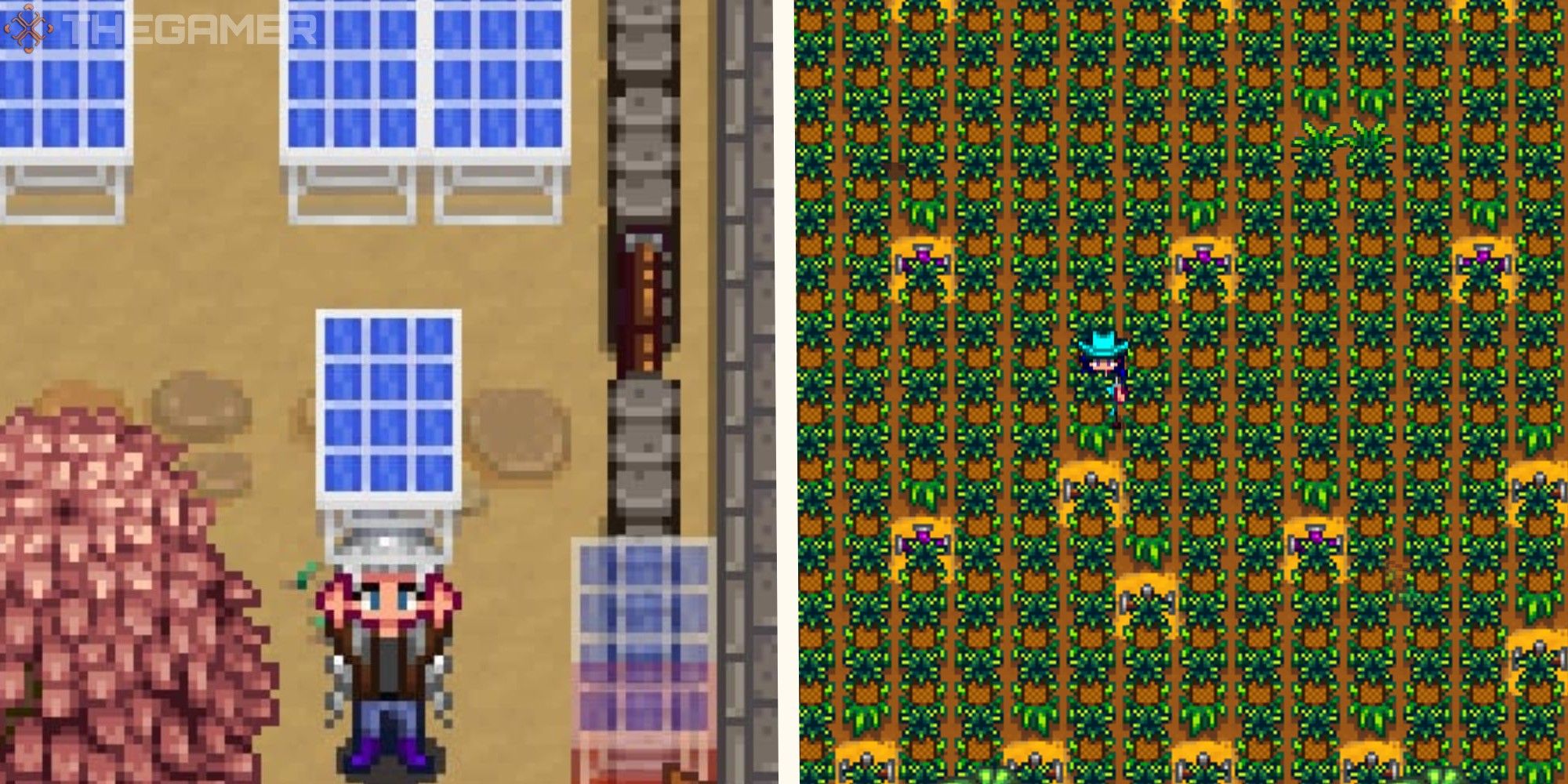image of player holding solar panel next to image of player standing among field of pineapples