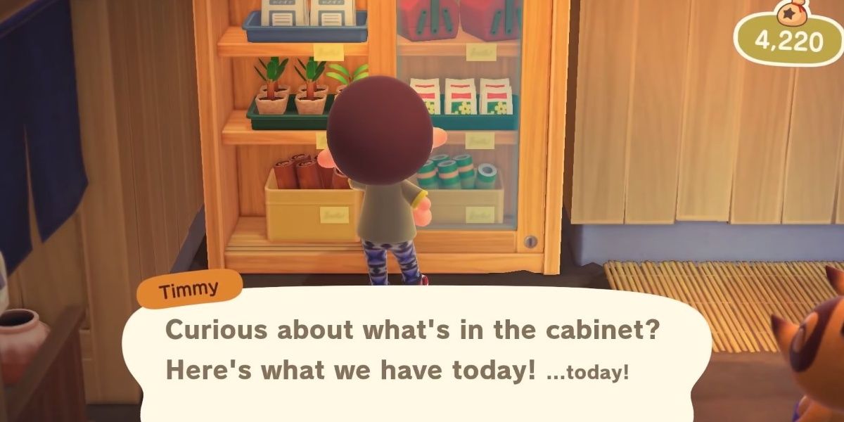 Animal Crossing New Horizons Player Checking Nook's Cranny Cabinet