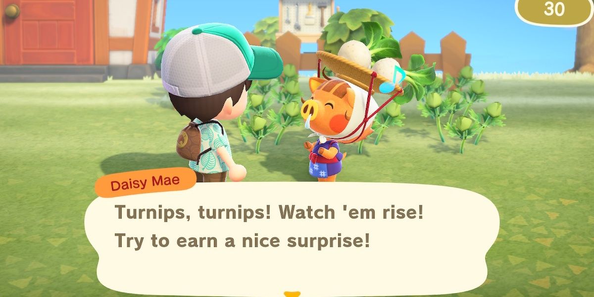 Animal Crossing New Horizons Player Talking To Daisy Mae Buying Turnips