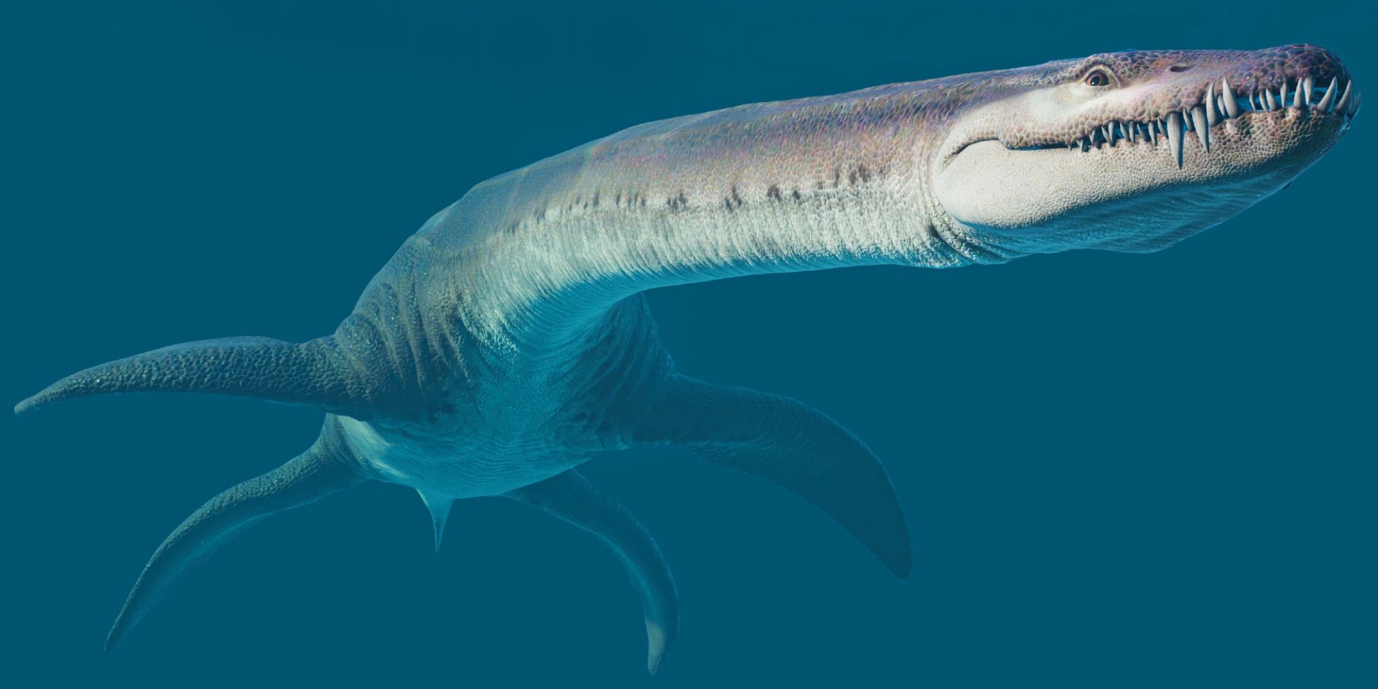 underwater long neck