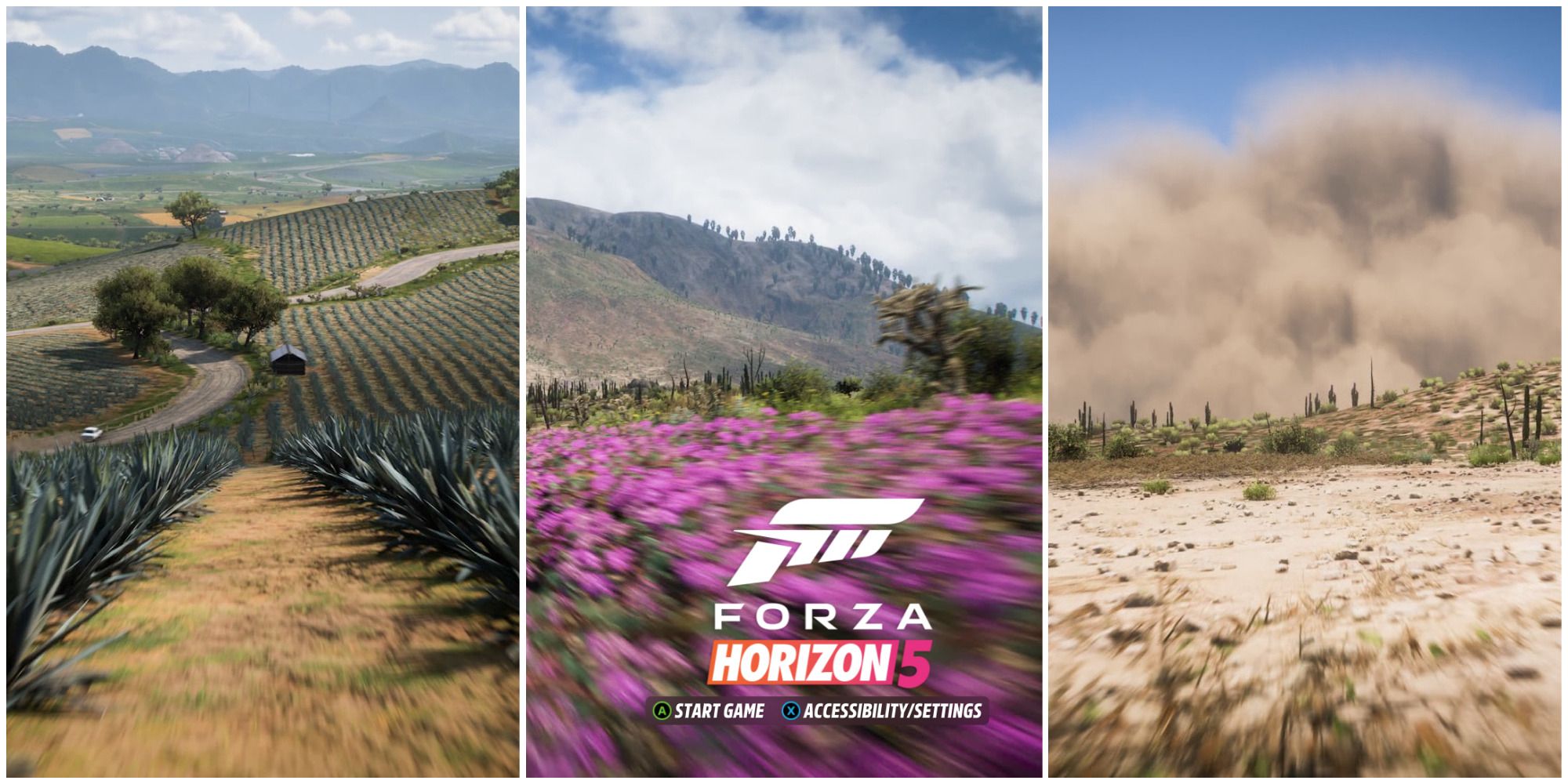 forza horizon 5 field, purple flowers and logo, storm featured