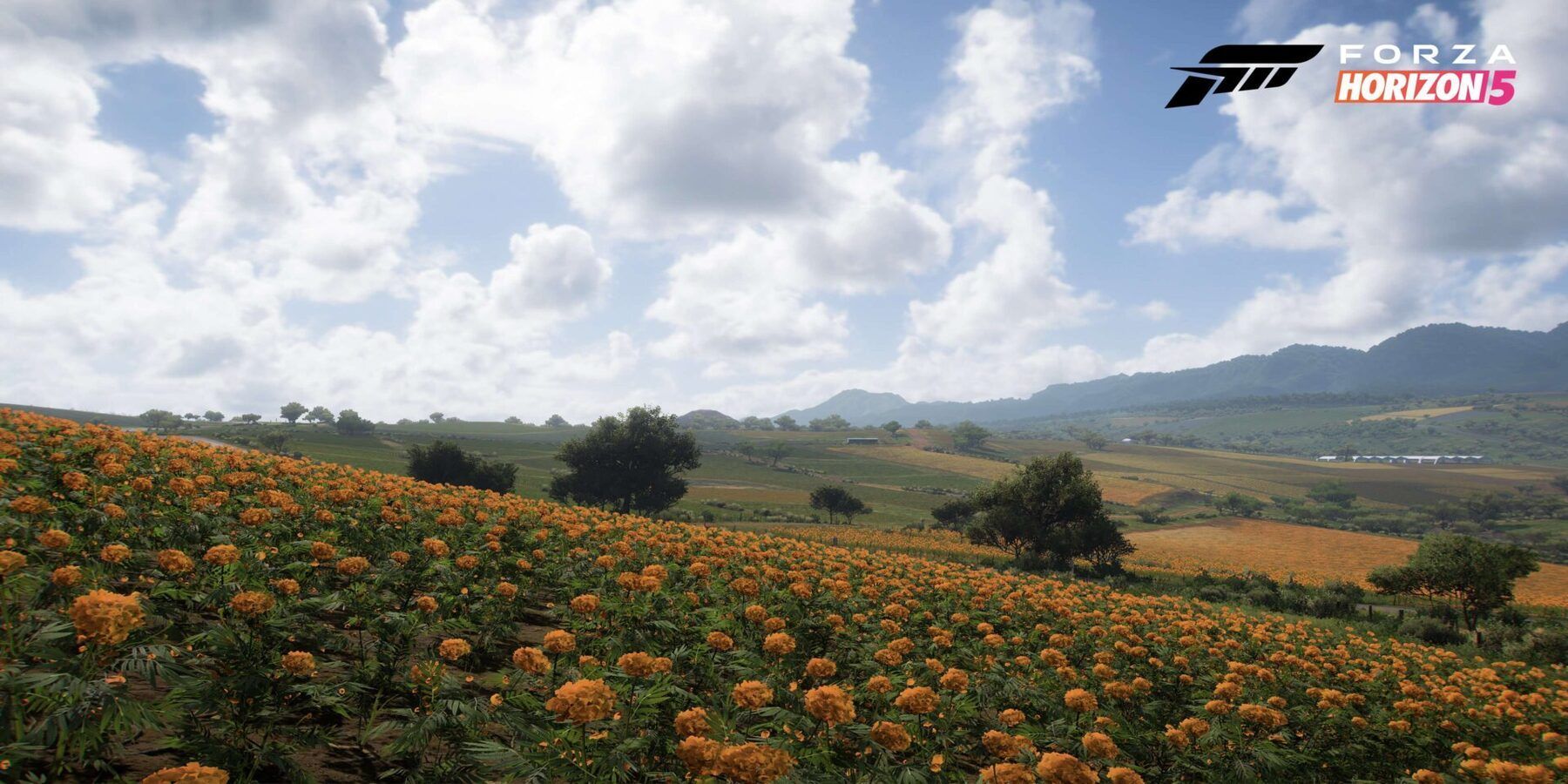 Clouds above a meadow of yellow flowers in Forza Horizon 5