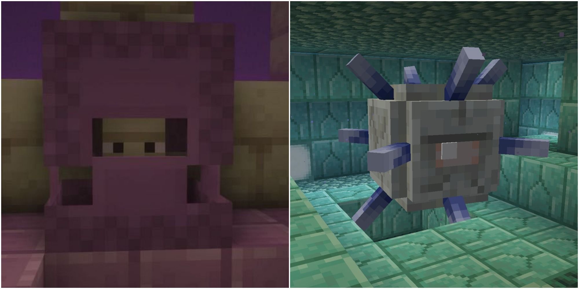 Minecraft Shulker Levitation Elder Guardian Mining Fatigue