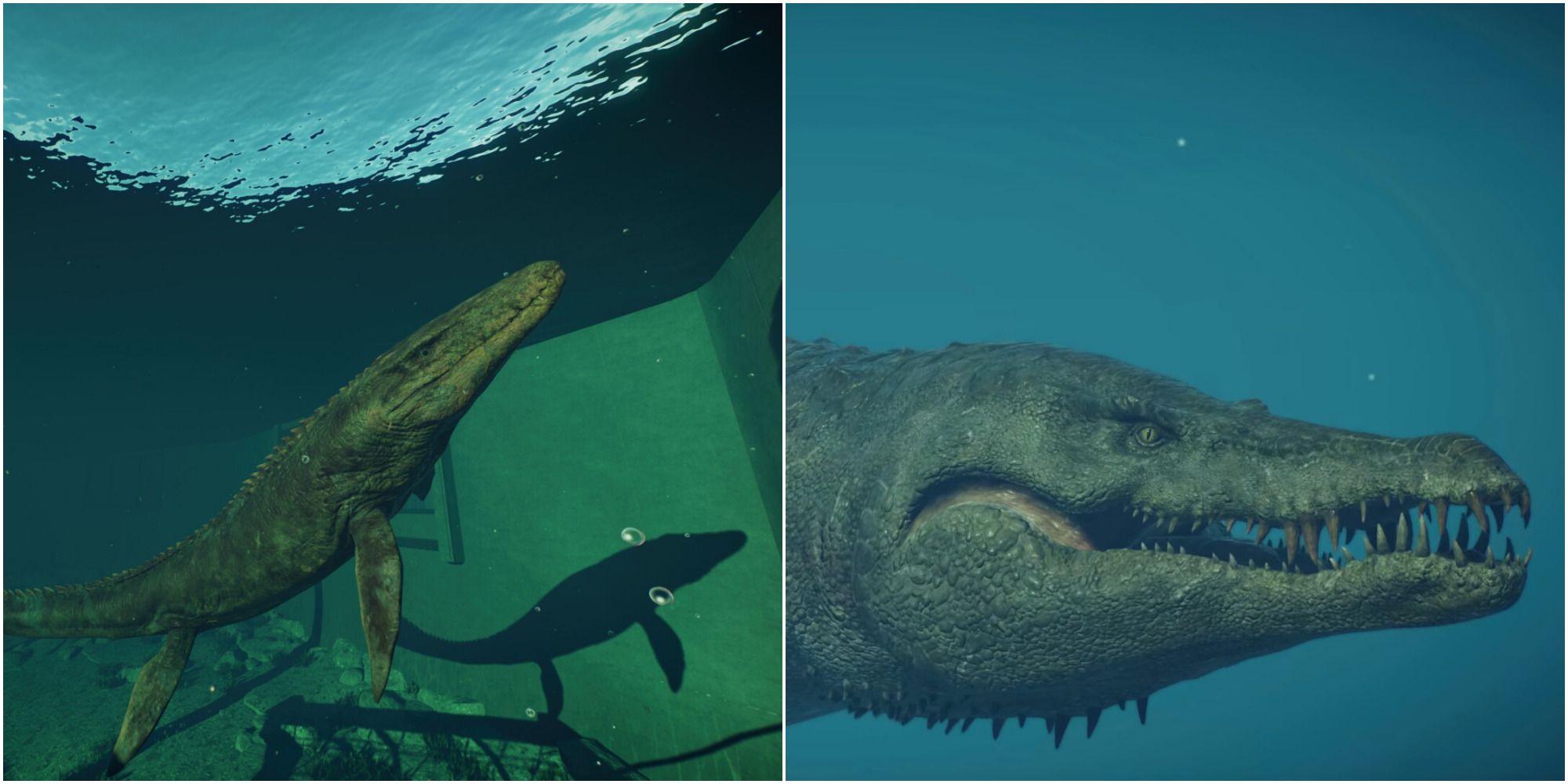 best marine dinosaurs swimming