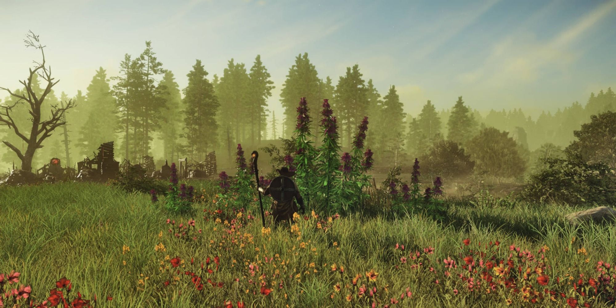 A player stands in front of Hemp plants in a overgrown field, a pine forest in the background