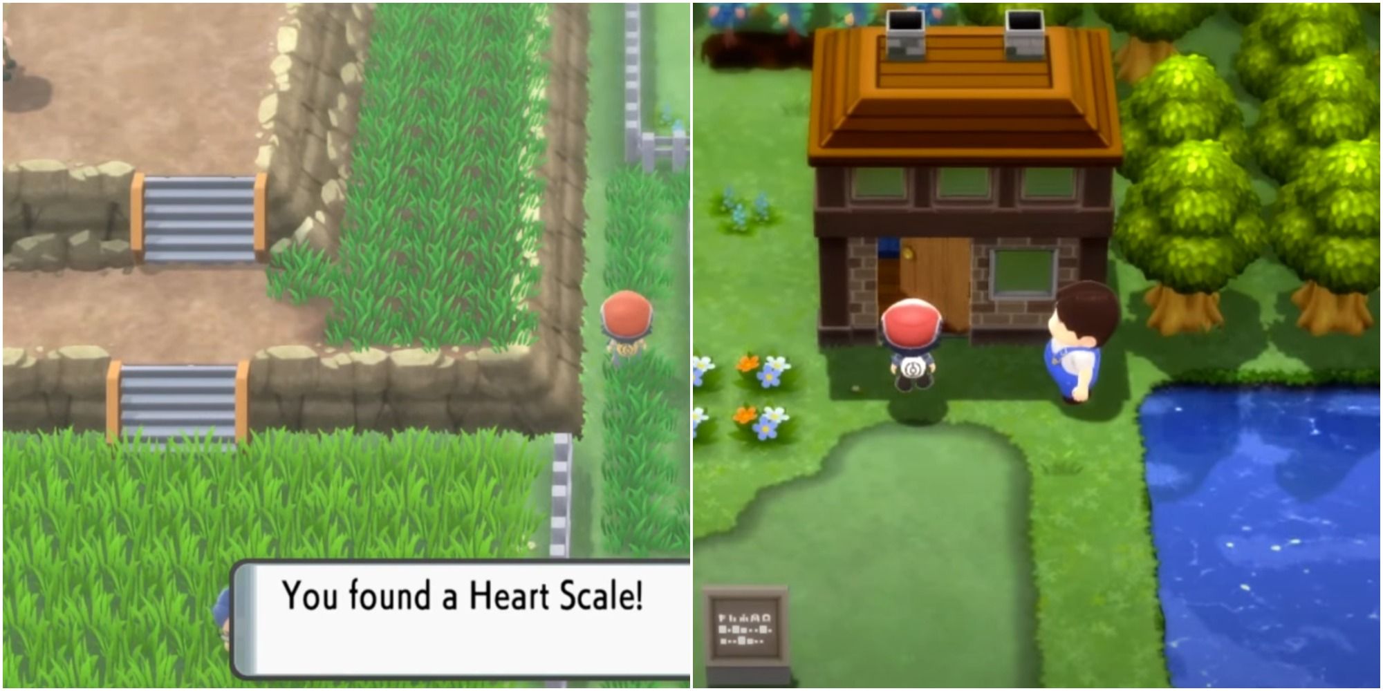 Pokemon Brilliant Diamond & Shining Pearl Move Tutor And Heart Scales Guide