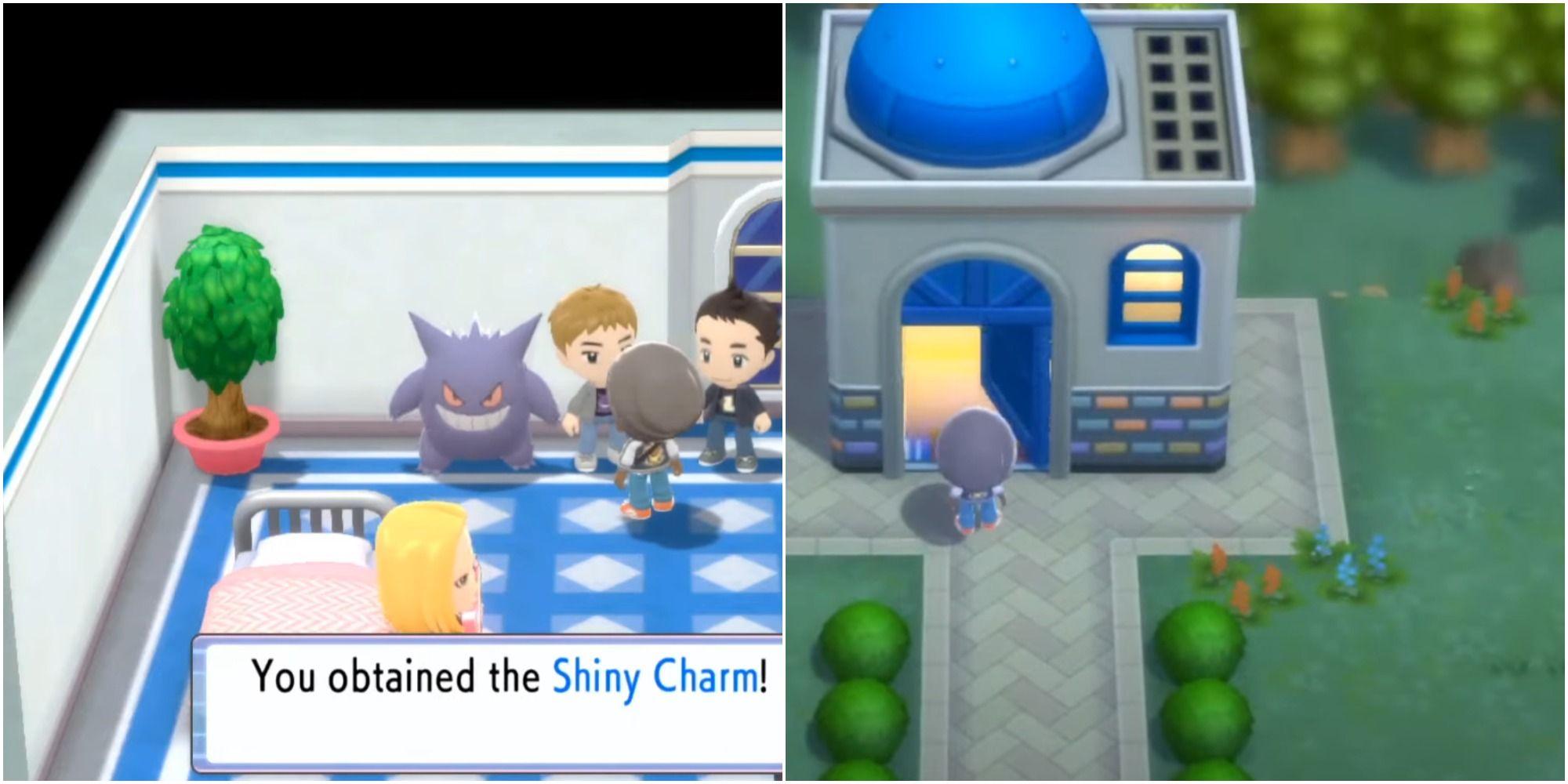 FULL ODDS SHINY SHAYMIN! in Pokémon Brilliant Diamond & Shining