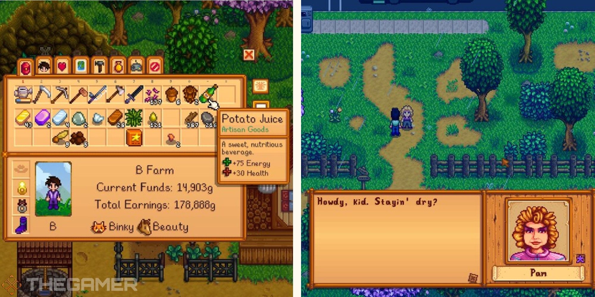 Stardew Valley What Is The FIBS Channel