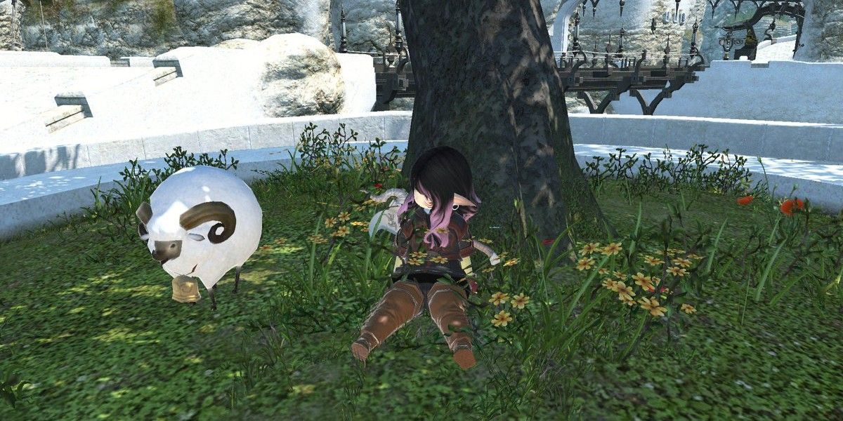 Lalafell looking at tender lamb.