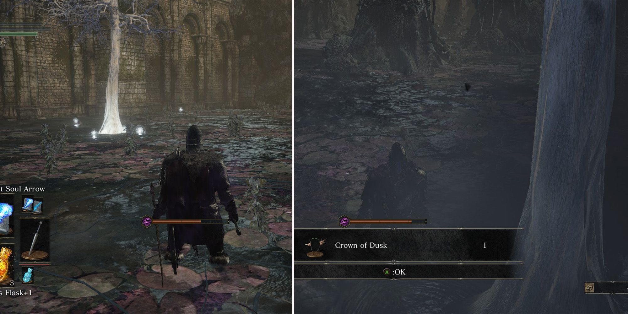 Crown Of Dusk Location in Dark Souls 3 the player wears the Northern Armor Set