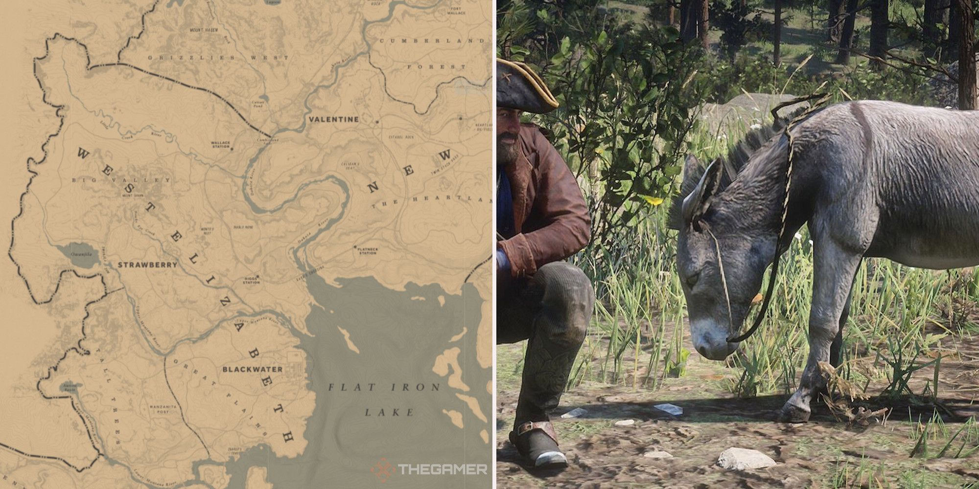 Donkey locations Red Dead Redemption 2 Online Freddy on Twitter