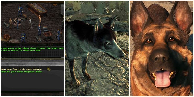 From left to right: Dogmeat in Fallout 1, 3 and 4