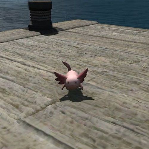 Final Fantasy 14 Axolotl