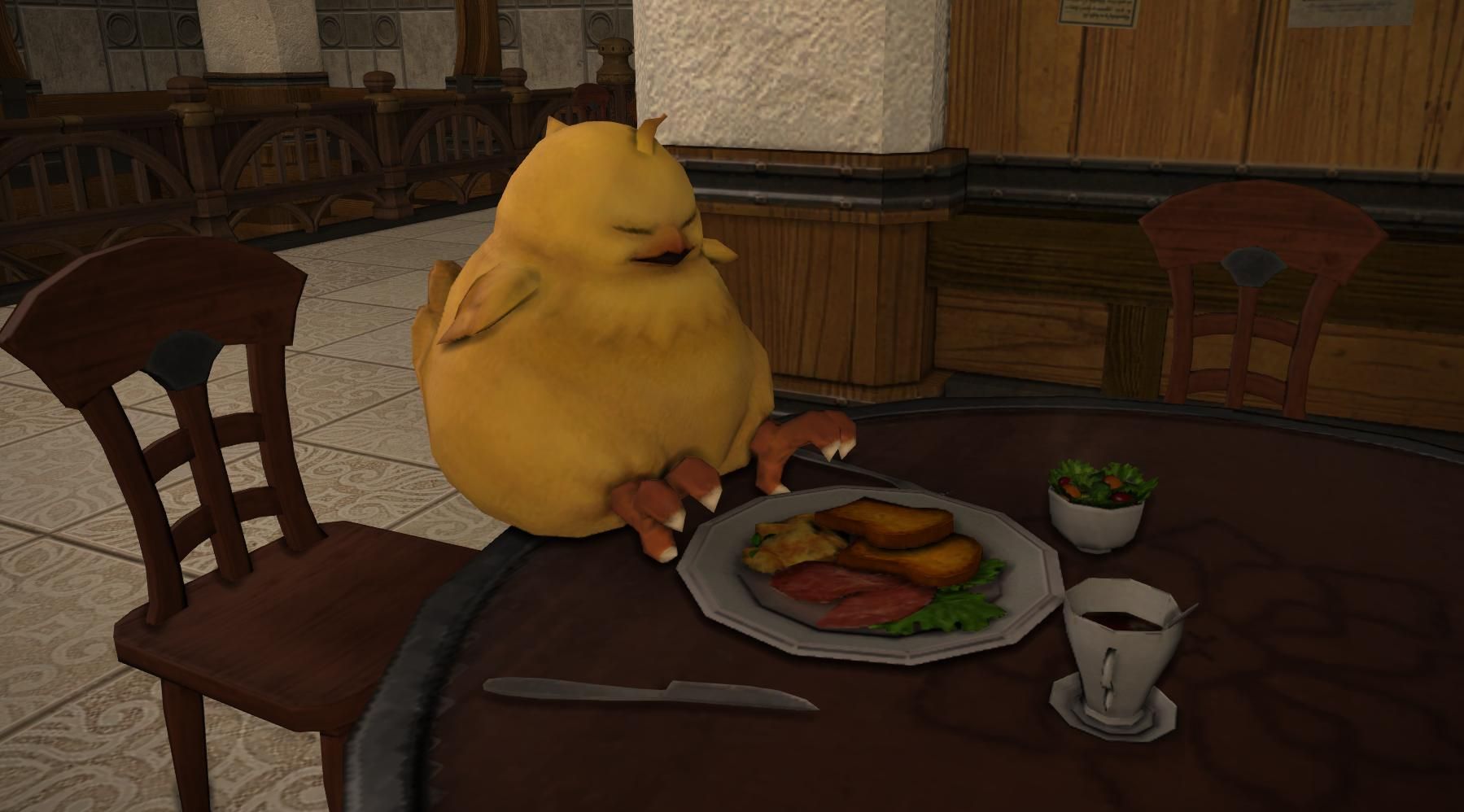 Final Fantasy 14 Chocobo Feeding