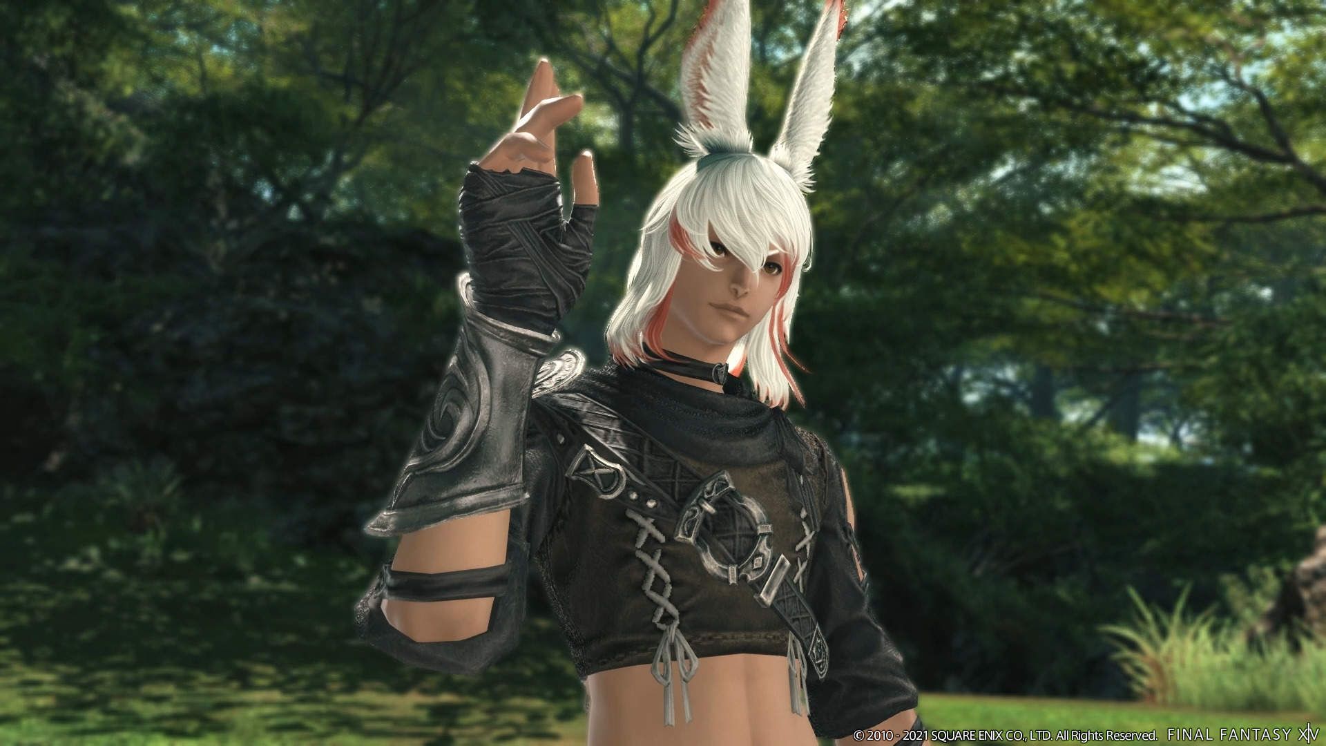 Male Viera