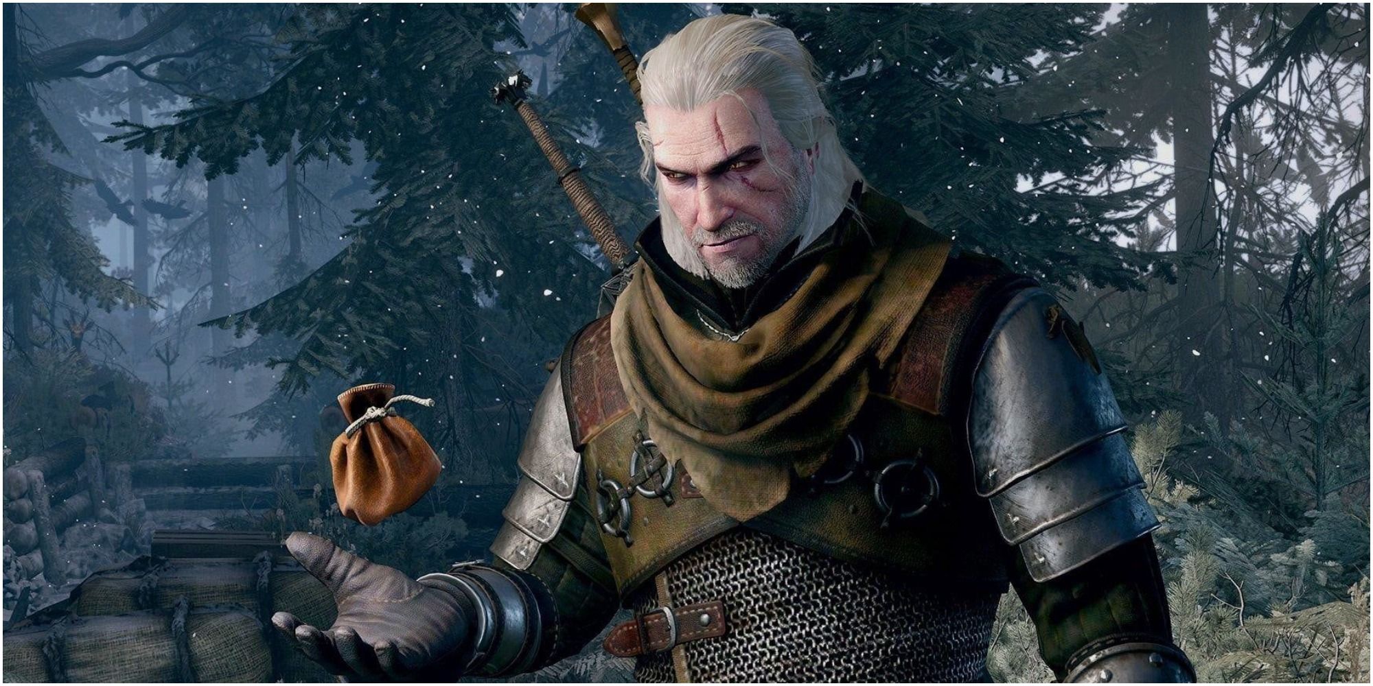Geralt tossing a coin purse The Witcher 3 Wild Hunt